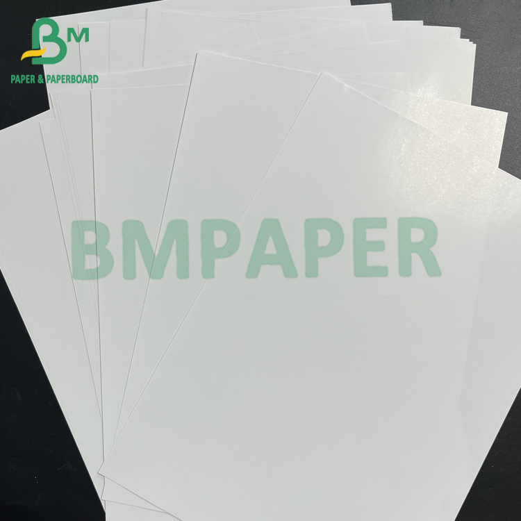 54" * 300ft 80gsm Good Ink Absorbing Glossy Coated C2S Text Paper