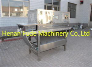 Chain plate garlic peeling machine,garlic peeling machine