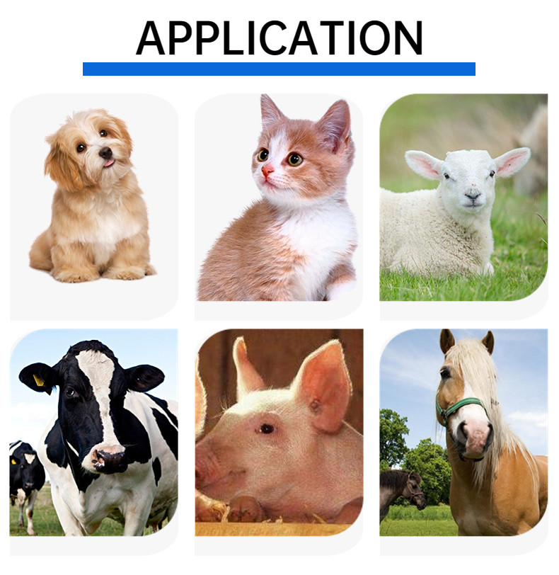 ISO11784/5 FDX-B ID64 Protocol RFID Microchip Scanner Rfid Reader Handheld For Animal Tracking And Management