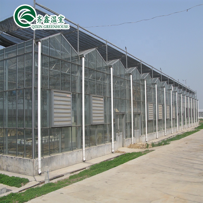 Customized Glass-Covered Vegetable Greenhouse for Restaurant Growth