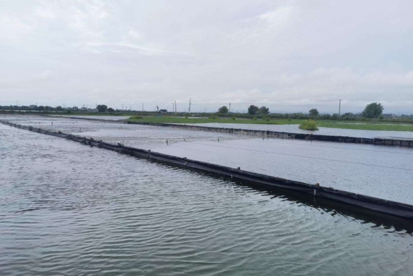 10 kg Weight Honeycomb Ozone Generator for Aquaculture Wastewater Treatment Production