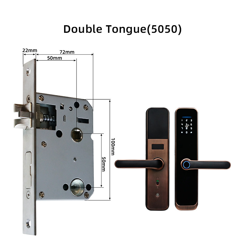 Remote Control Face Recognition Door Lock FCC Tuya Smart Door Lock