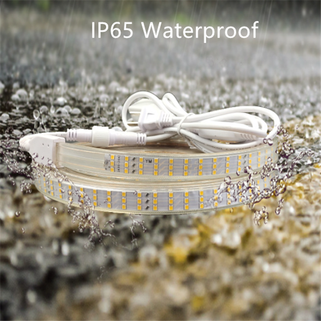 Outdoor Led Flexible Strip Light 110v Smd2835 264leds/M Led Strip Three Row Led Strip Lights