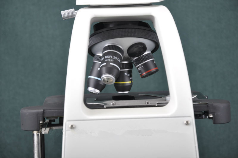 Wide Field Eyepiece Tissue Culture Microscope For Histological