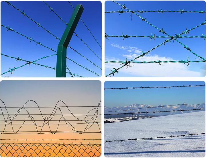 Silver Barbed Wire Farm Fence For Fencing Protection