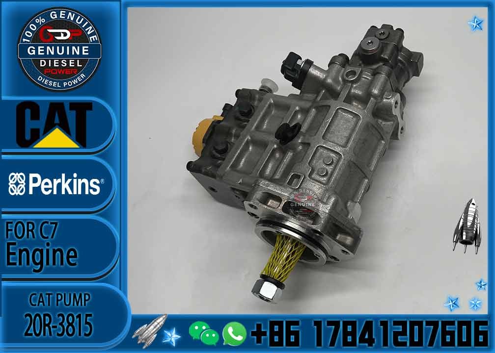Factory Custom Excavator Spare Parts E320d Cat Engine Parts C6.4 Diesel Engine Fuel Injection Pump 368-9171 20R-3815