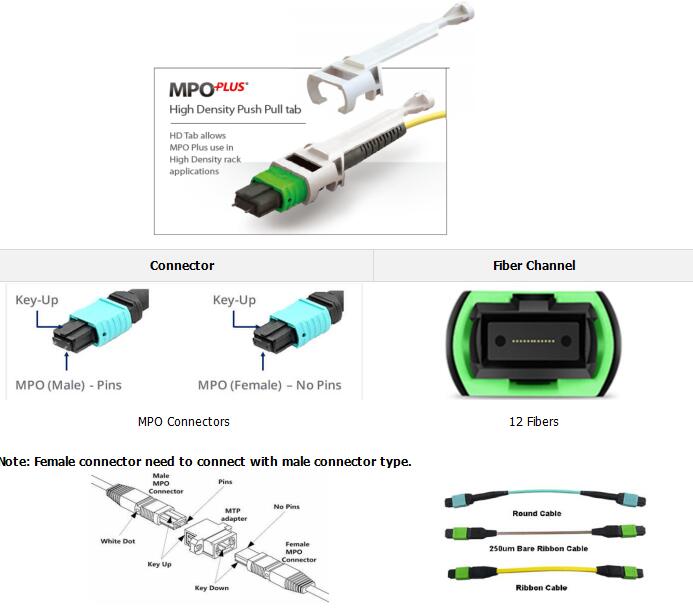 12 Fibers MPO Female To MPO Female Singlemode 3.0mm LSZH MPO Patch Cord