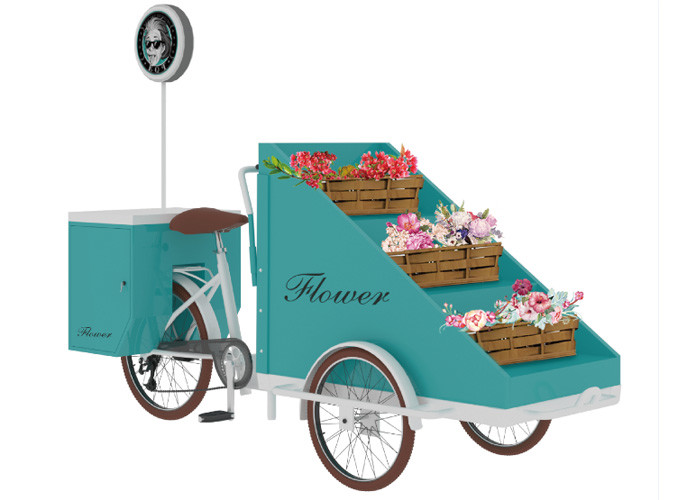 Commercial Electric Food Vending Tricycles Fashion Appearance CE Approval