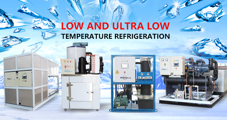 5T Brind Machine Shape Refrigerator Ice Block Moulding Machine