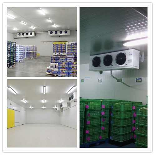 Low Temperature Air Cooled Evaporator For Refrigerator Cold Room Storage