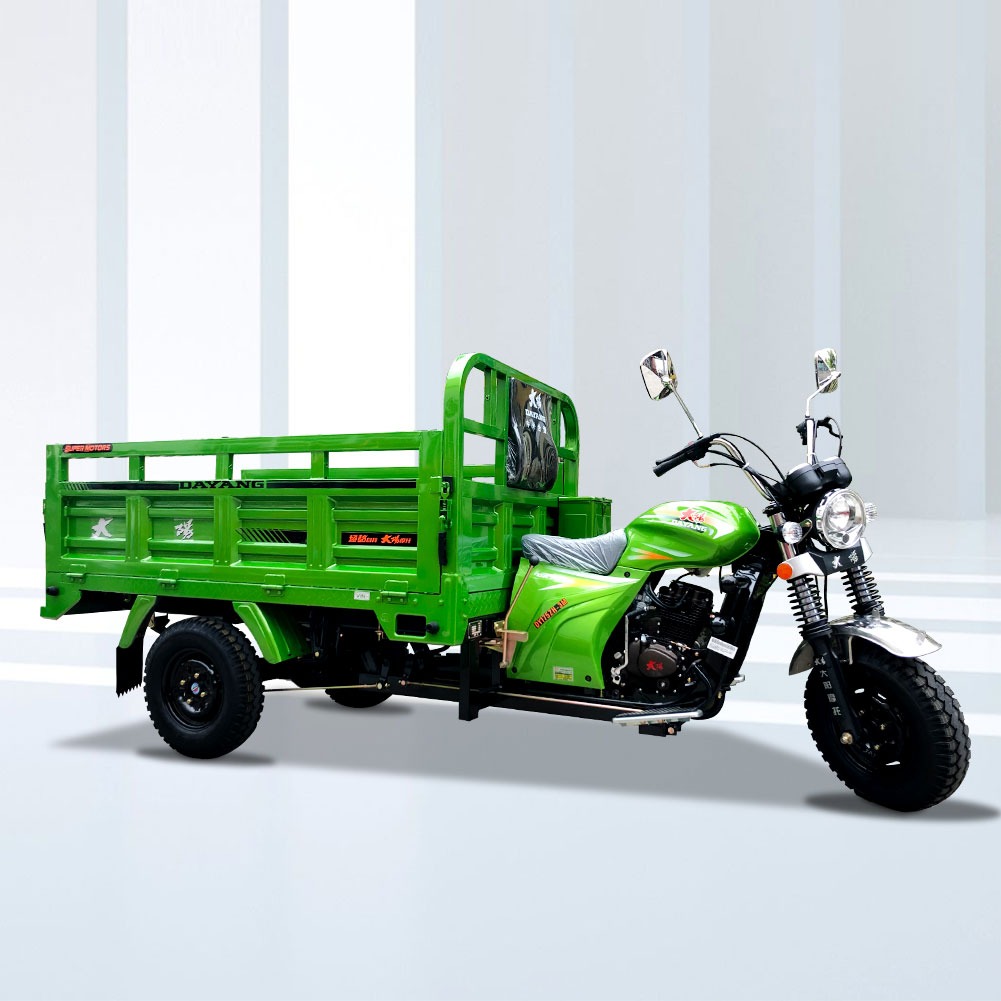 1000Kg Motorised Tricycle Three Wheel Cargo Motorcycle with 12V Electric and Kick Start