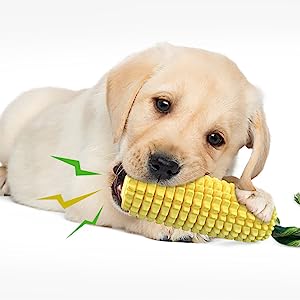 Squeaky Dog Toy
