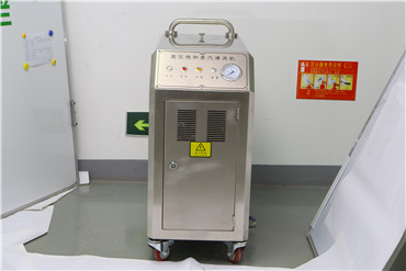 Mobile Portable Steam Car Washing Machine 24KW For Carpet Kitchen Floor