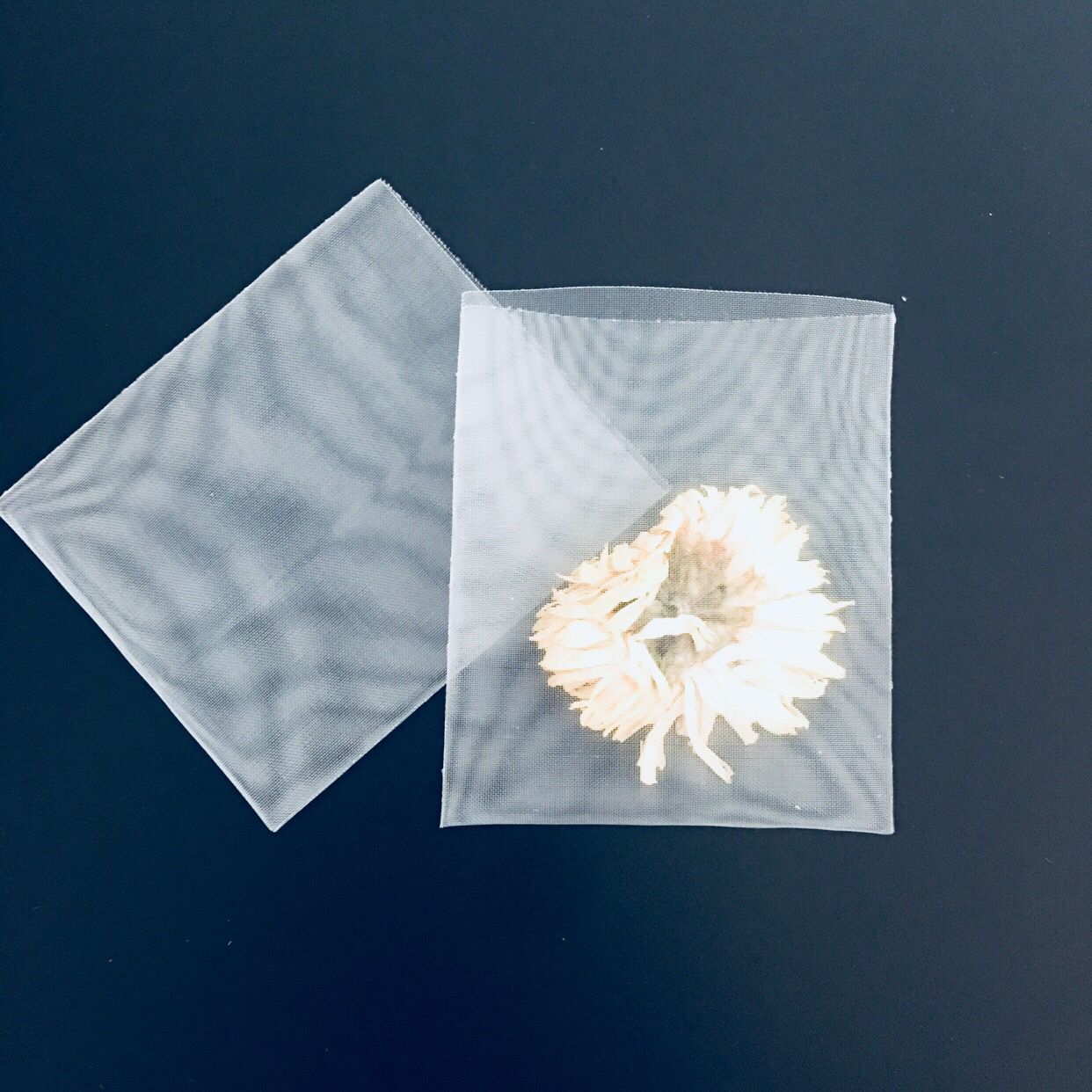 Biodegradable Corn Fiber Mesh Filter Bags , Empty Nylon Pyramid Tea Bags With Tag