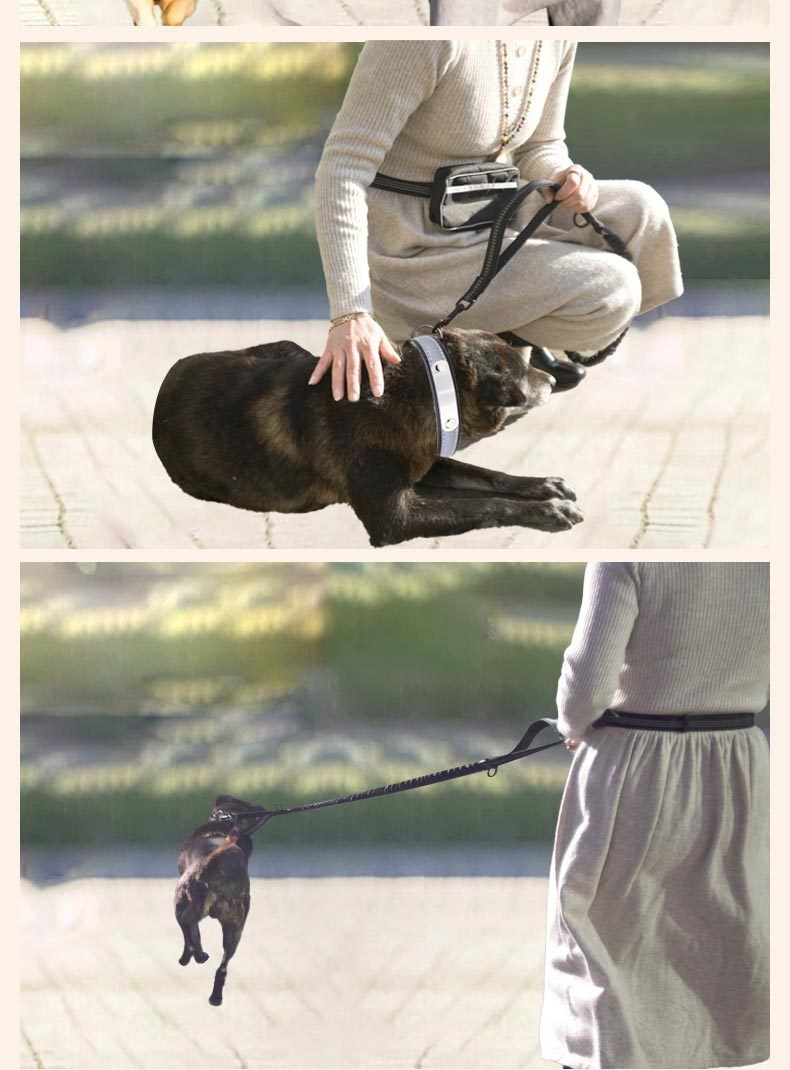 Pet Sports Running Reflective Material Leash Dog Double Handle Leash With Waist Bag Set