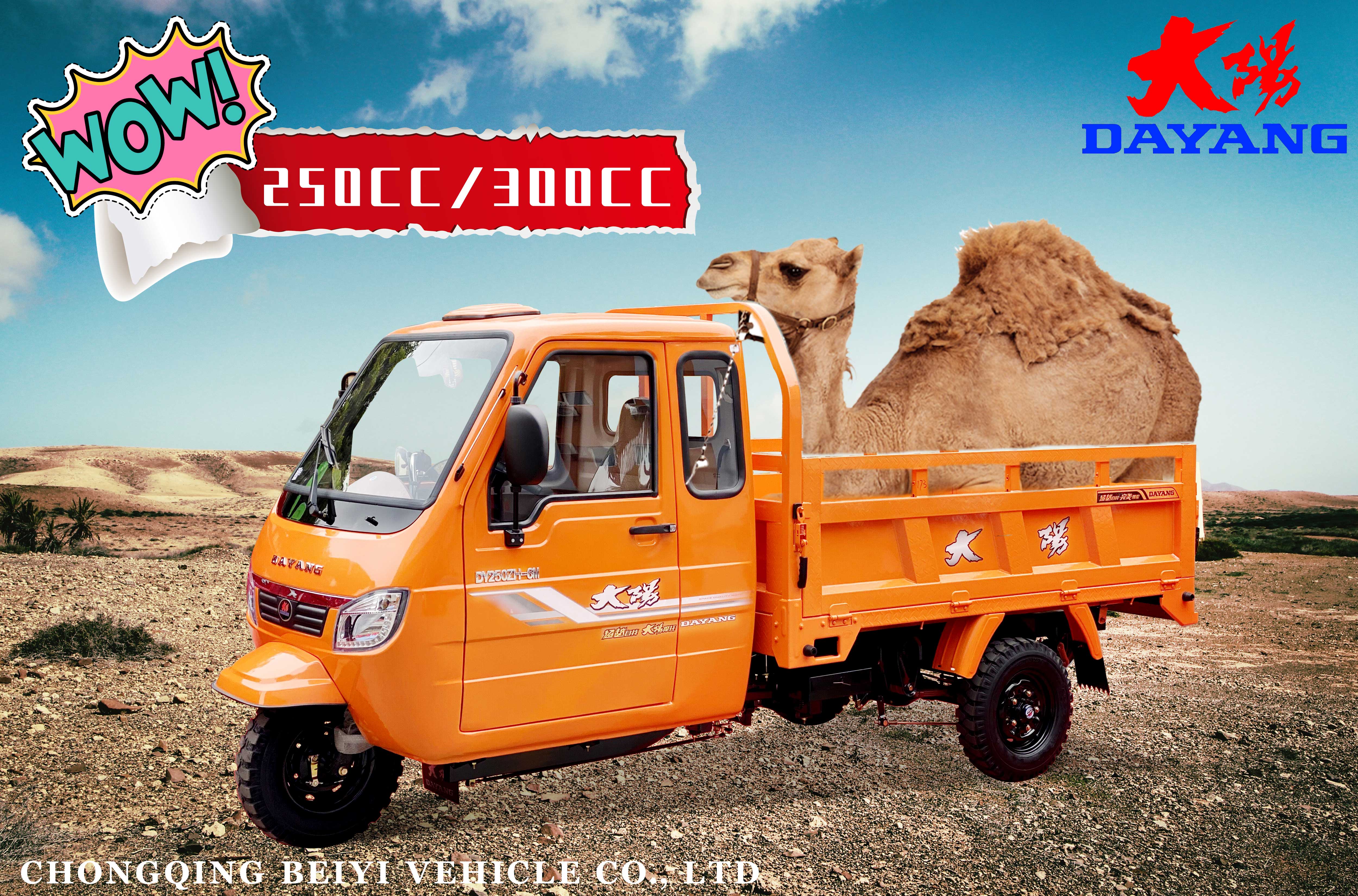 DAYANG XK3 Enclosed Cabin Cargo Tricycle 200CC 250CC 300CC 350CC with Water-Cooling Engine