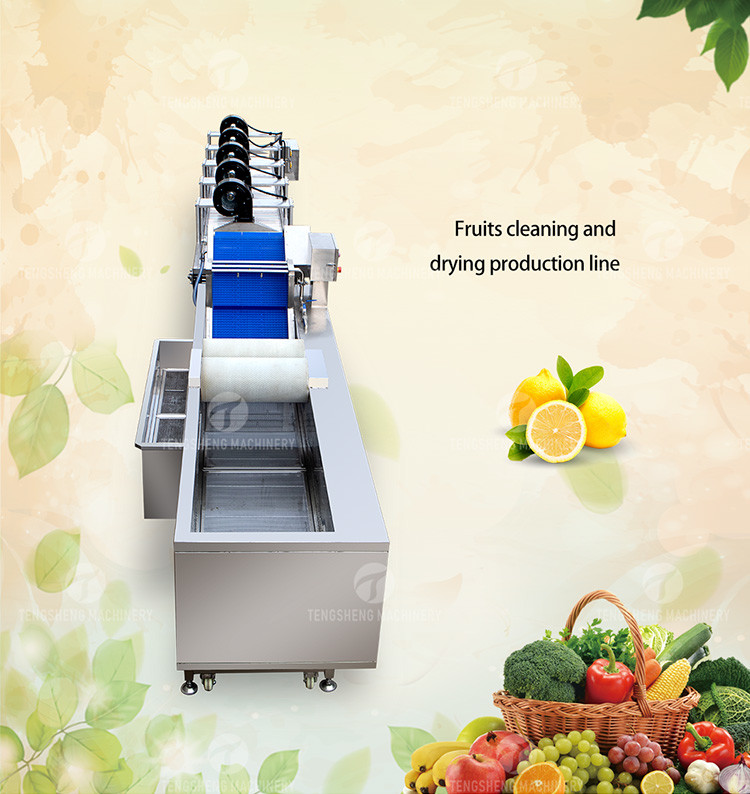 Customized Driven Pesticide Exclude Vegetable Processing Line , Centrifuging Tomato Processing Line
