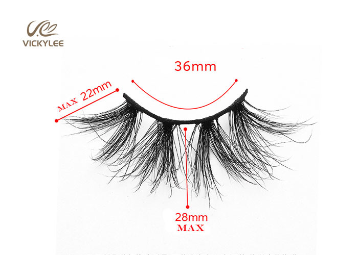 Full Strips Custom Logo 25MM 5D Mink Eyelashes