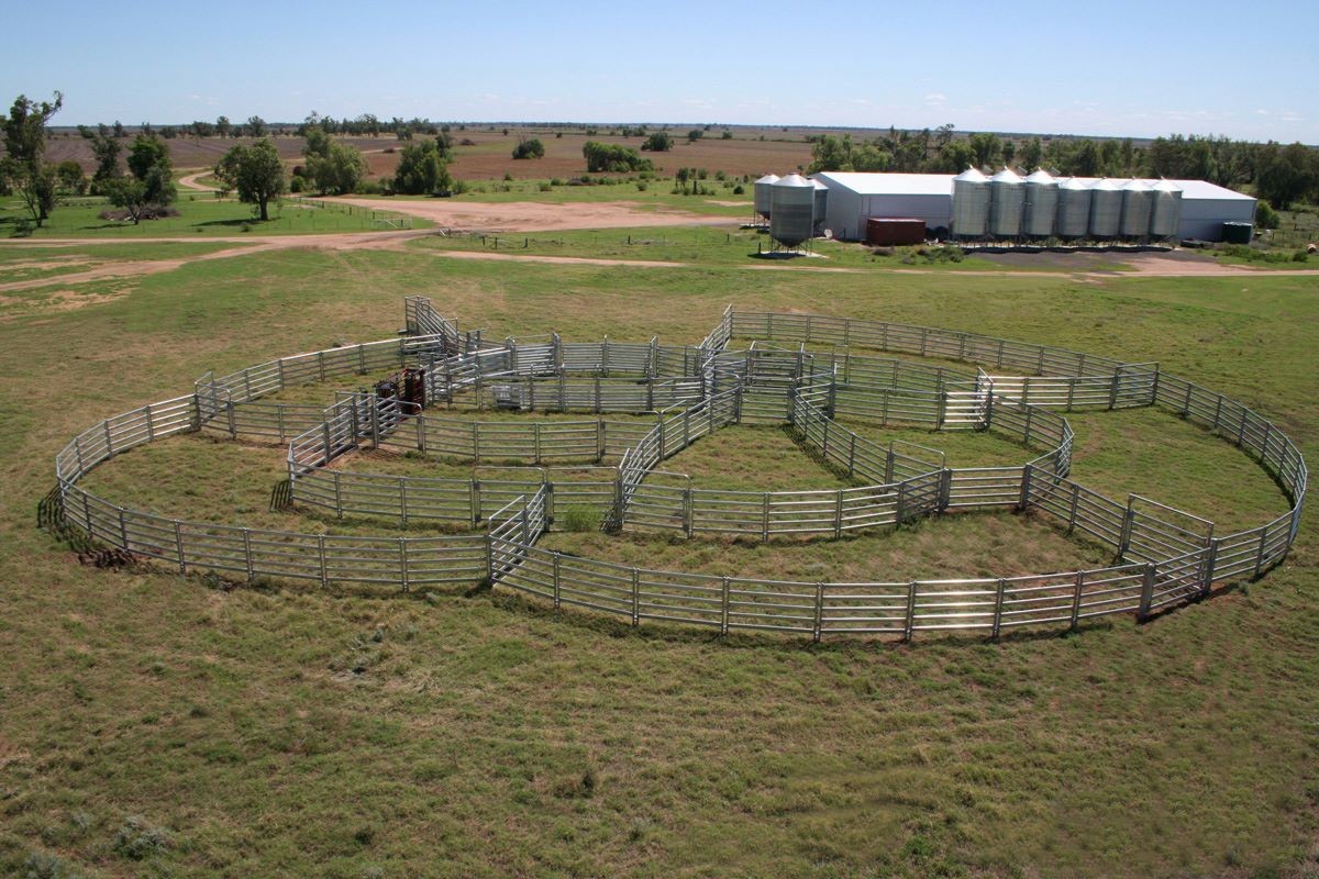 Portable Horse Stall Panels 40x40 6 Oval Rails. Locking Pins. , Victoria , Cattle