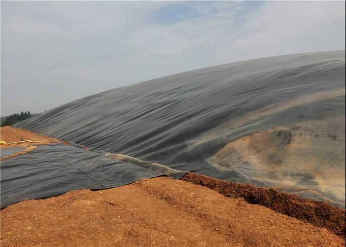 Thickness 0.5mm High Density Polyethylene Geomembrane Hdpe Fish Pond