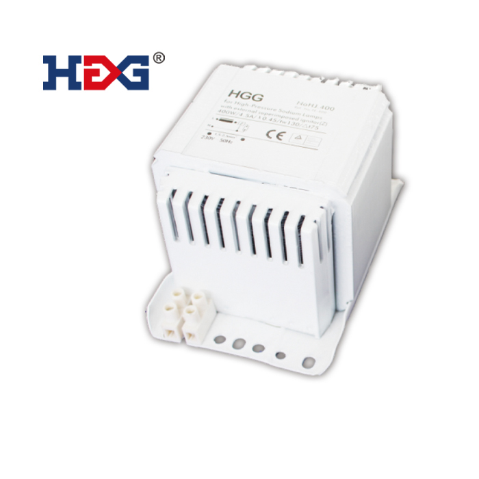 HGG-TE-B 400W.jpg