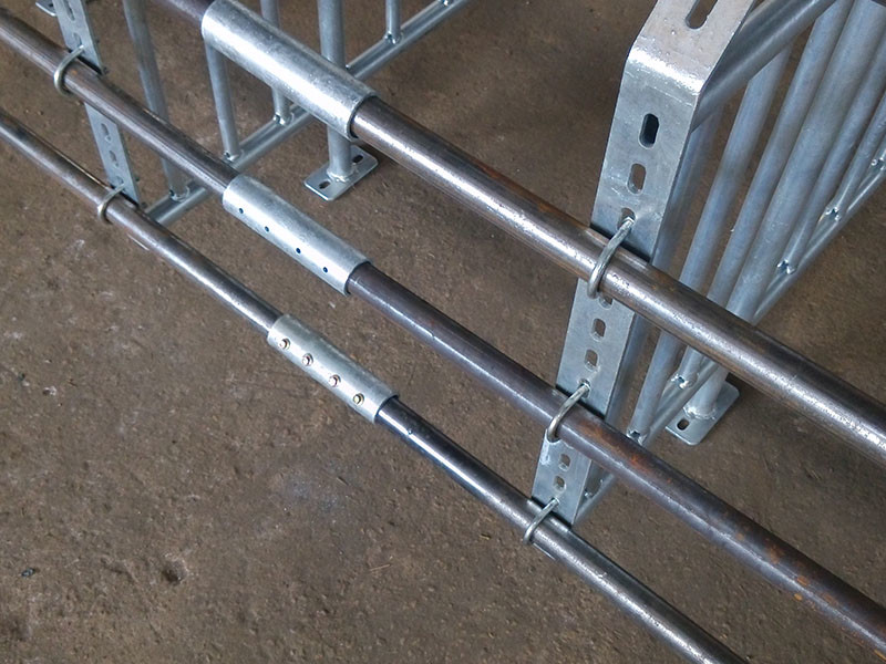 Durable Steel Iron Hog Gestation Stalls , Gestating Pen For Livestock