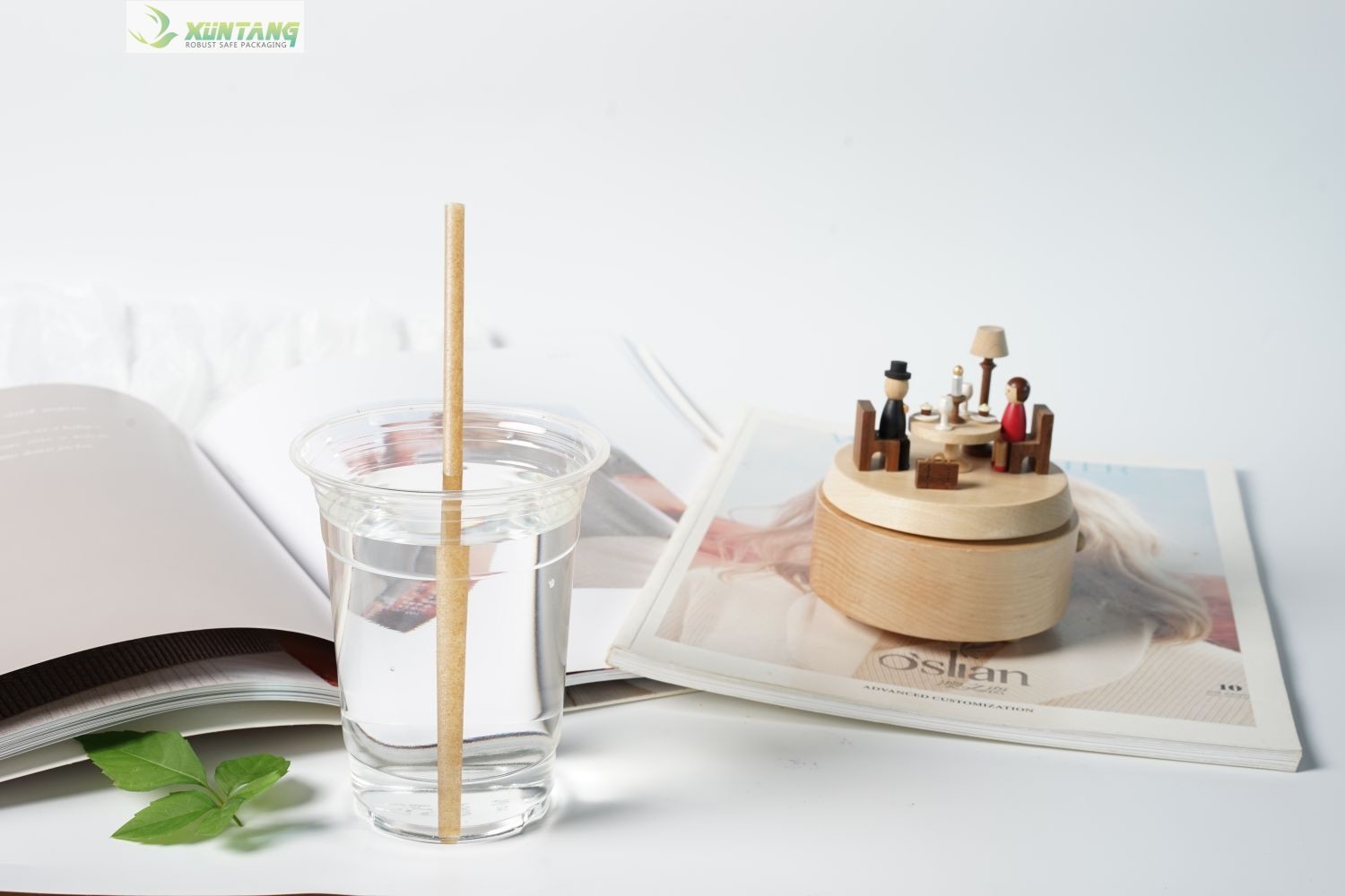 2oz to 32oz Compostable PLA Cups