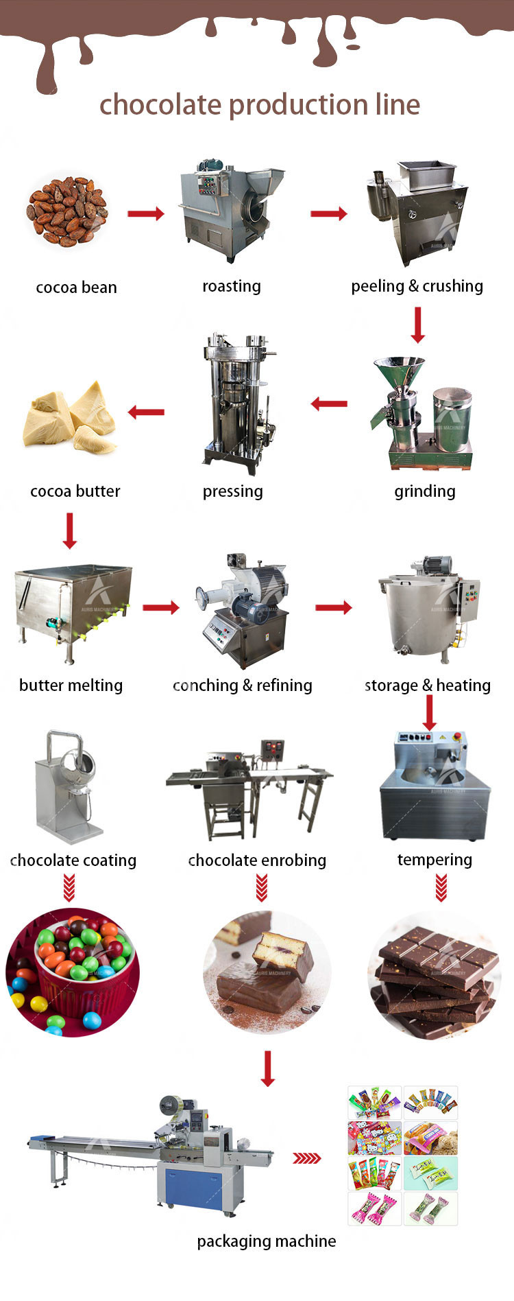 500kg/H Bean To Bar Chocolate Machine Grinding Cocoa Chocolate Processing Machinery