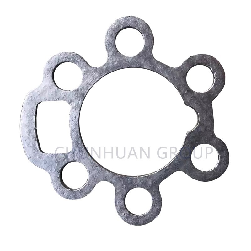 Pipe Flanges Expandable SS304 Graphite Ring Gasket