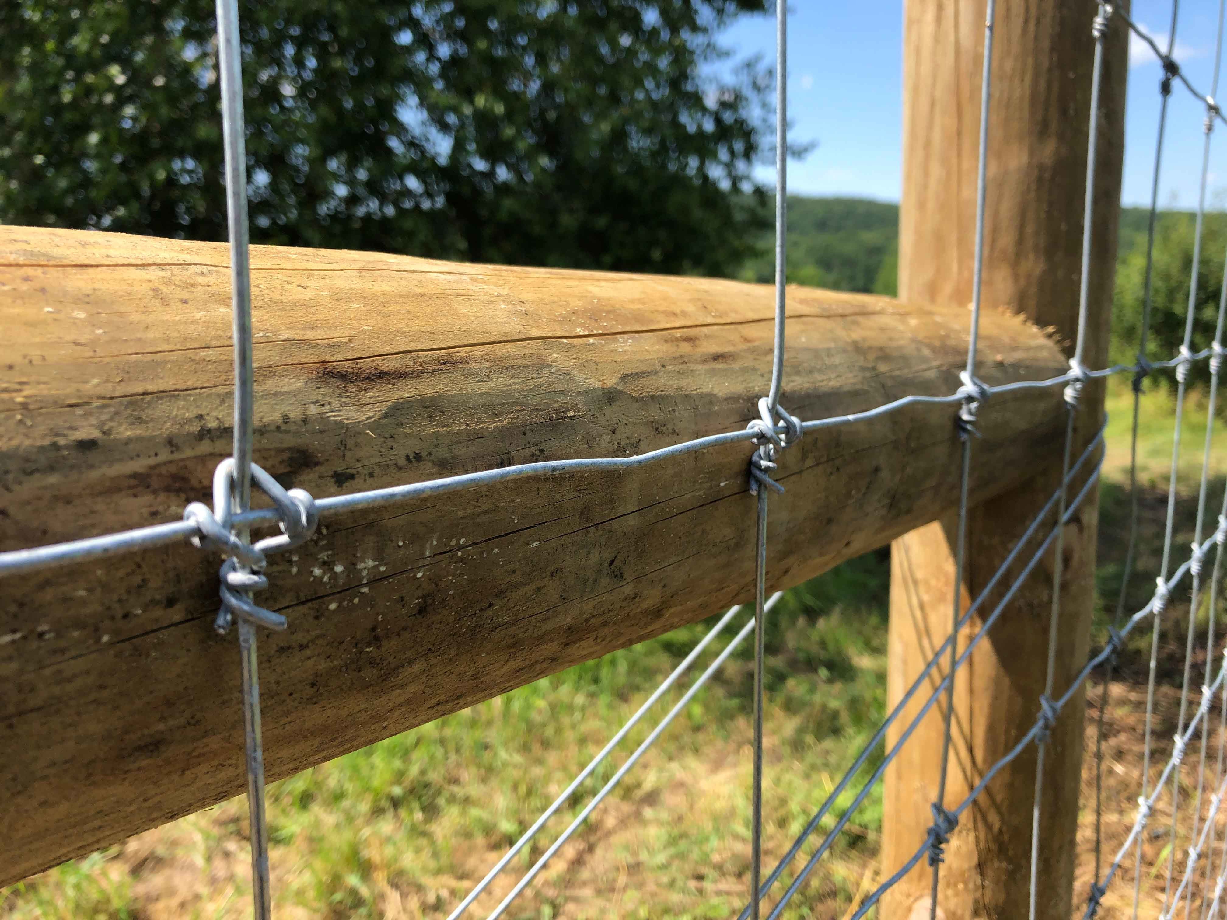 Wood High Tensile Fixed Knot Wire Fencing For Cattle High Strength Galvanized