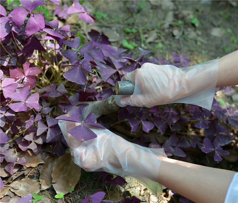 1.8g/Pc Multifunctional Tpe Gloves For Cleaning Hand Protection