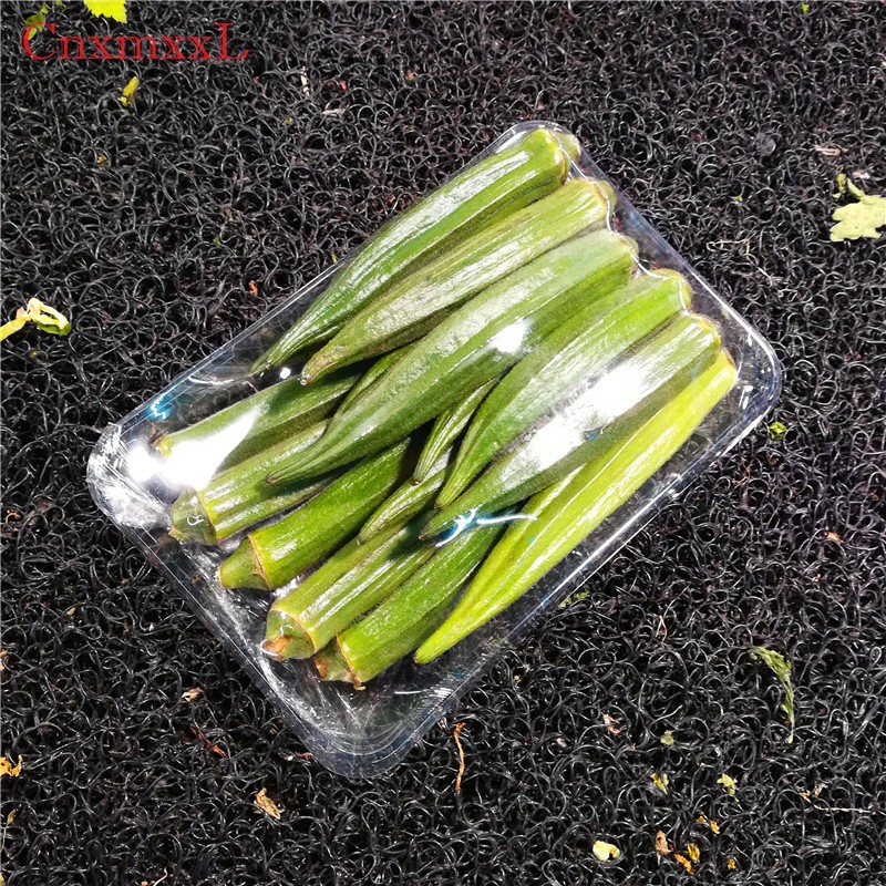Biodegradable 18cm Clear Plastic Tray Containers 7g Round Salad Packaging
