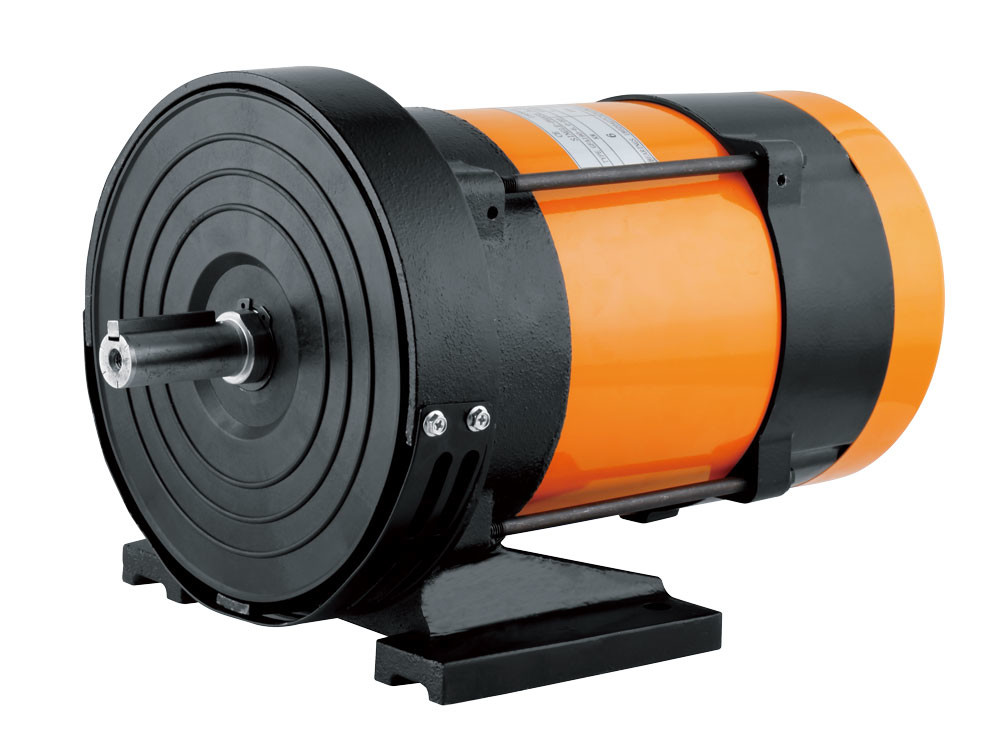 3.0KW Single Phase Alternator High Output Alternator 2 Pole Dynamo