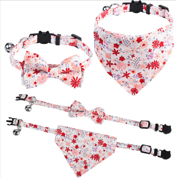 custom kitten collar
