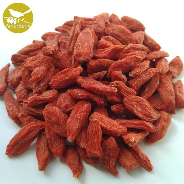 Quality Gou Qi Organic goji berry lycium barbarum polysaccharide wolfberry plant  Dried Goji Berry for sale