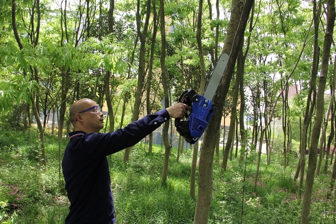 Jungle 25CC Chainsaw Industrial 12 Inch Cordless 800W Sharpener Tree 0