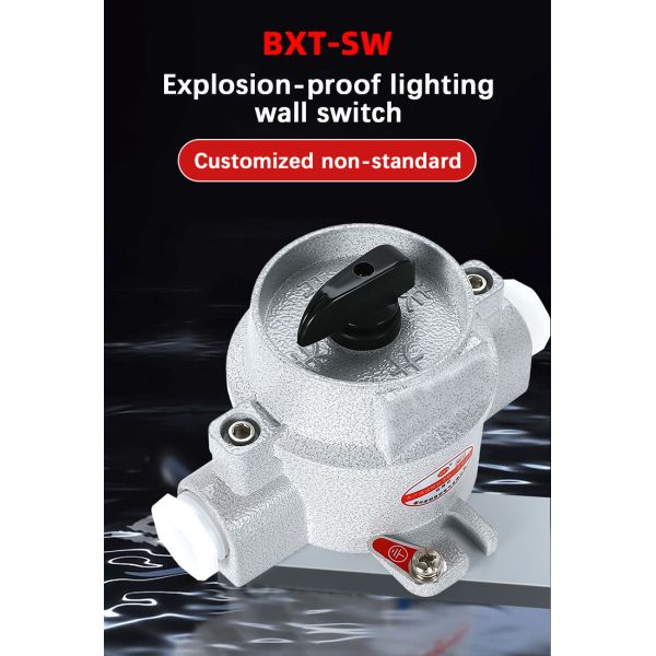ATEX wall light switch Explosion-proof and anti-corrosion wall switch wall touch switch