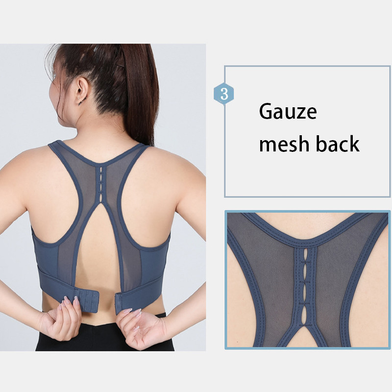 Sexy Mesh Plus Size Sports Bra Gathered Nylon Spandex 3 Colors