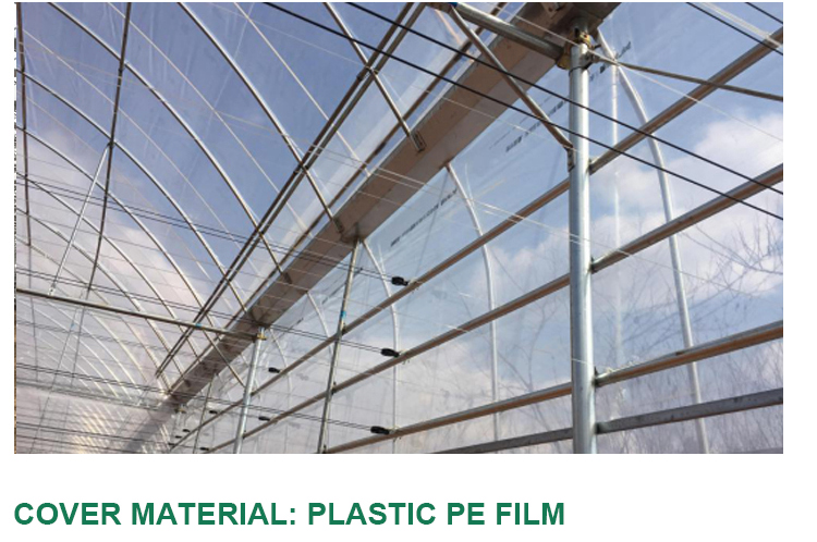Automatical Controlling System Galvanized Steel Frame Film Greenhouse for Agriculture