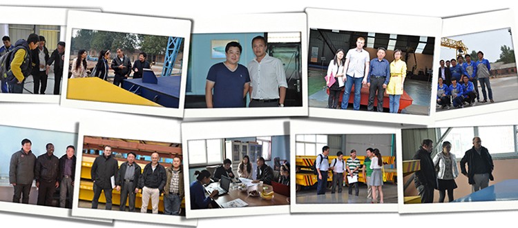 Battery powered trolley for cargo transfer self-propelled cart,battery operated platform electric bogie