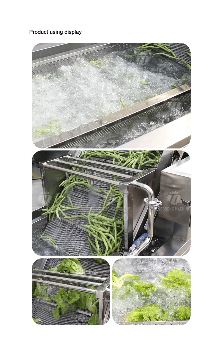 2.6KW Fruit and vegetable cleaning and processing equipment automatic washing machine conveyor belt bubble cleaning mach