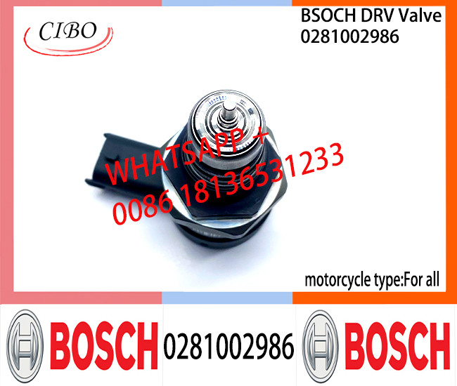 BOSCH DRV Valve 0281002986 Control Valve 0281002986 for all