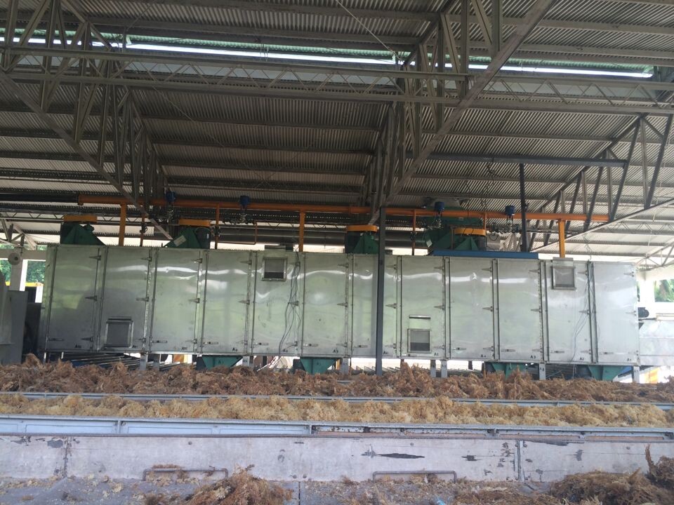525kg/H Sea Tangle Coconut Dryer Conveyor Mesh Belt Dryer Machine For Gulfweed Sargassum