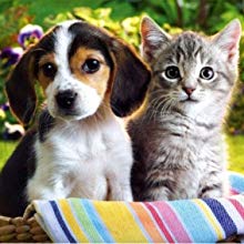 small trash bags for cat litter