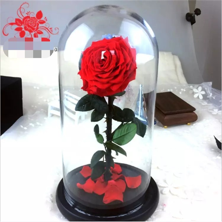 Natural Fresh Roses Flowers Everlasting Preserved Eternal Rose beautiful Rose Preserved Flower