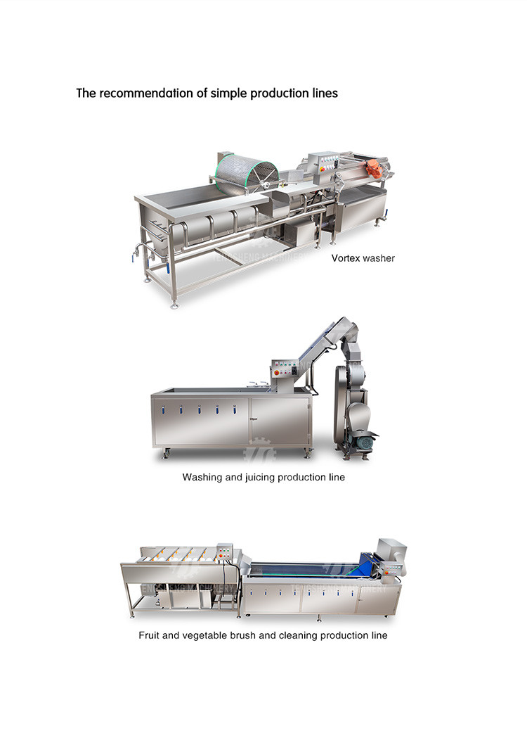 2Pcs/Min Fruit And Vegetable Automatic Elevator Food Conveying