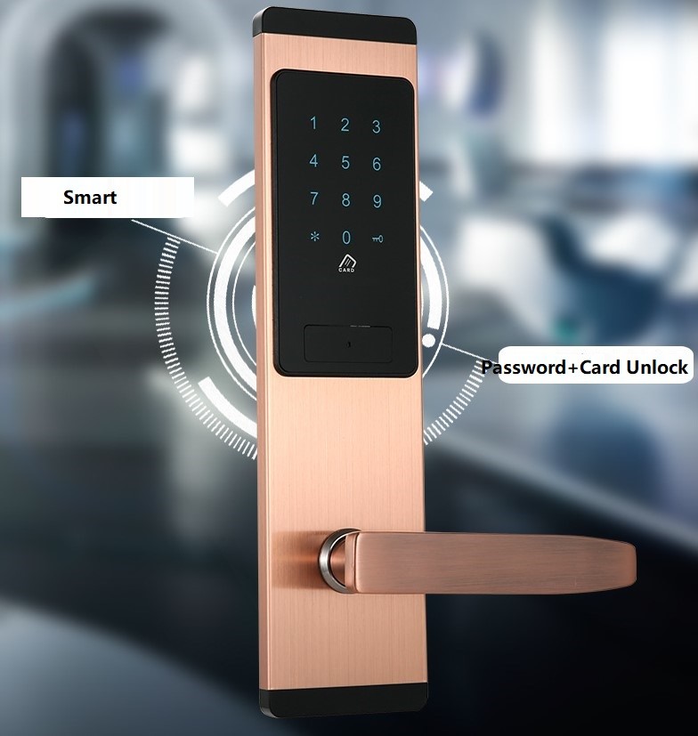 Home Apartment Electronic Password Digital Hotel Smart Lock