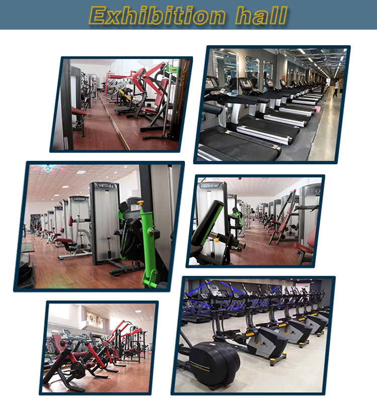 243kg Commercial Grade Gym Equipment Torso Rotation Increase Weight Machine