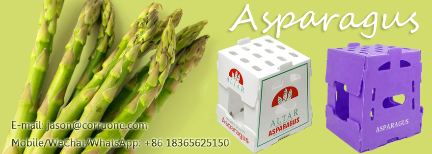 Corn Corflute Box Vegetable Corrugated Boxes Recyclable Custom Size