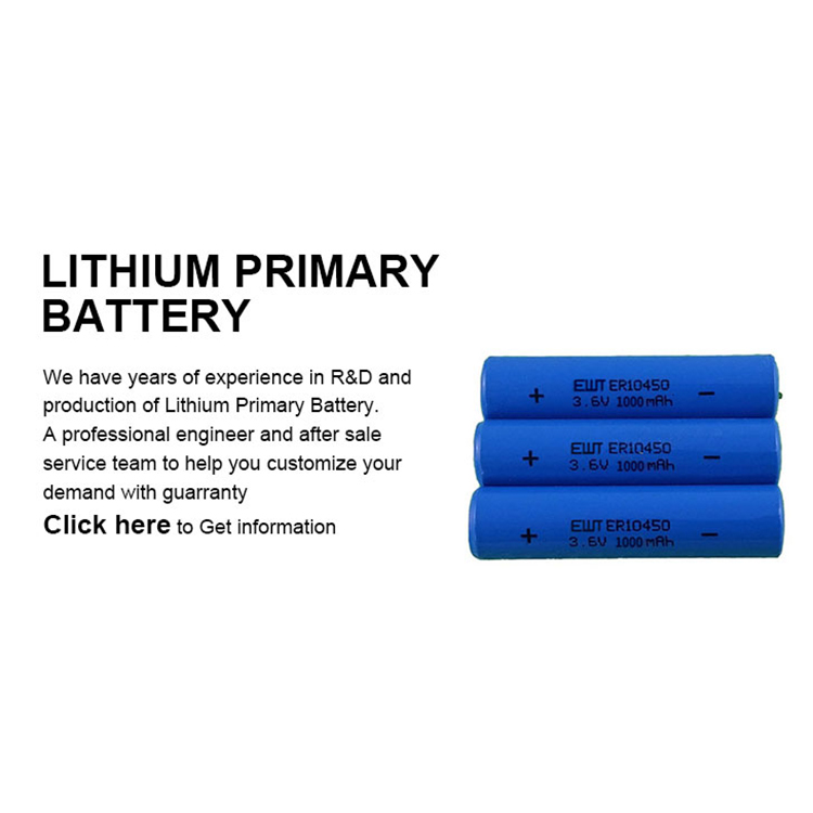 Small Lithium Thionyl Chloride Battery 1000mAh 3.6V ER10450 Battery
